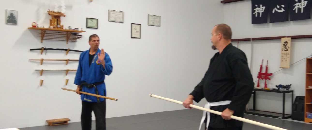 Bo Staff Stick Fighting Class