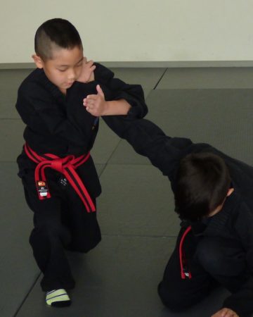 Kids & Teens Traditional Martial Arts