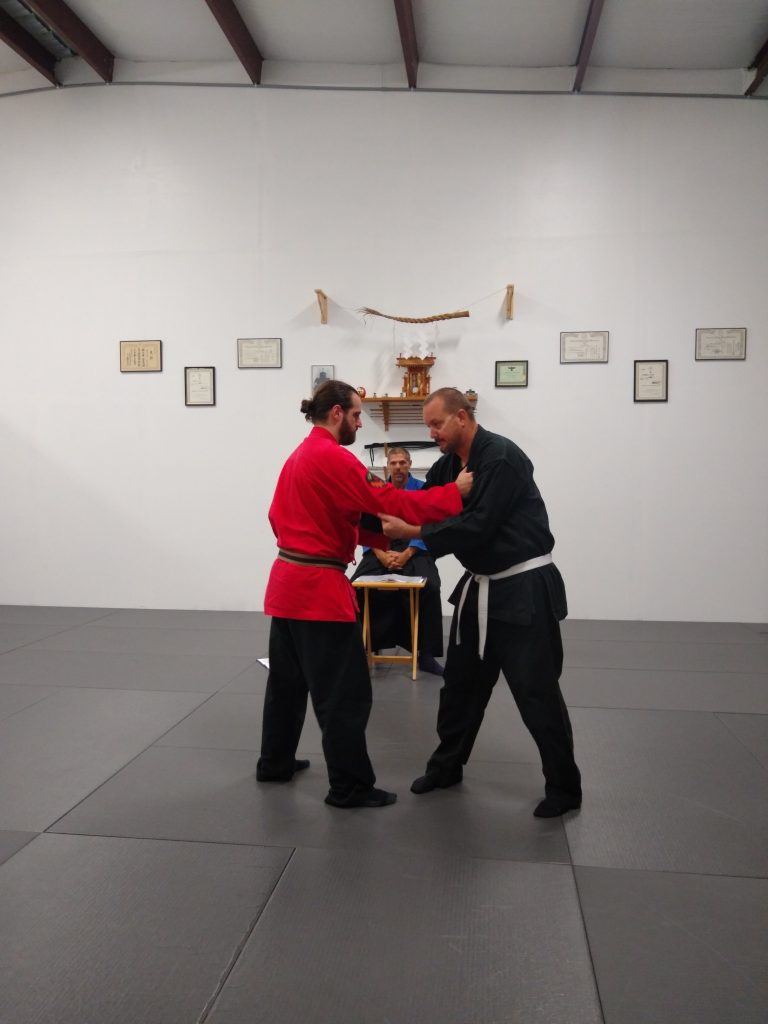 Adults martial arts in Liberty HIll Texas 78642