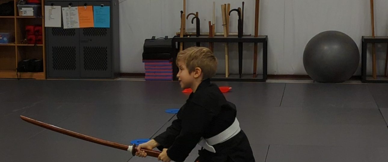 Samurai Sword Camp for Kids at Urban Defense Academy, Shin Gan Dojo in Liberty Hill Texas 78642