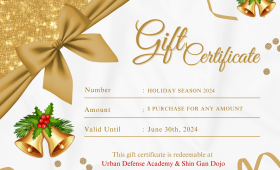 Gift Certificates Available at Urban Defense Academy and Shin Gan Dojo